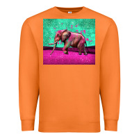 Carrot colorful elephant Premium Sweatshirt - LillyAllenDesigns
