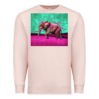 Pale Pink colorful elephant Premium Sweatshirt - LillyAllenDesigns