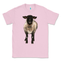 Bubblegum Pink suffolk ewe front Classic Tee - BarkalooDesign