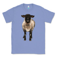 Colony Blue suffolk ewe front Classic Tee - BarkalooDesign