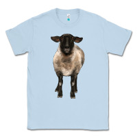 Dusty Blue suffolk ewe front Classic Tee - BarkalooDesign