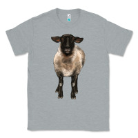 Heather Grey suffolk ewe front Classic Tee - BarkalooDesign