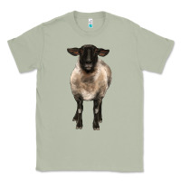 Matcha suffolk ewe front Classic Tee - BarkalooDesign