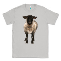 Moon Dust suffolk ewe front Classic Tee - BarkalooDesign