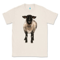 Natural suffolk ewe front Classic Tee - BarkalooDesign