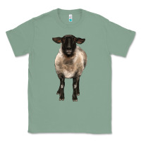 Sage suffolk ewe front Classic Tee - BarkalooDesign