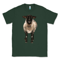 Sports Green suffolk ewe front Classic Tee - BarkalooDesign