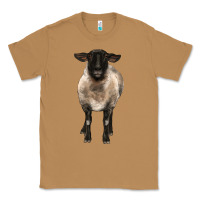 Toasted Coconut suffolk ewe front Classic Tee - BarkalooDesign