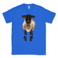 True Royal suffolk ewe front Classic Tee - BarkalooDesign