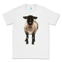 White suffolk ewe front Classic Tee - BarkalooDesign