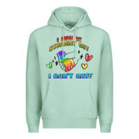 Seafoam i may be straight pride day Premium Hoodie - MaliasSmallBusiness