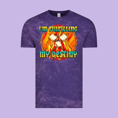 Vintage Tee i m fulfilling my destiny