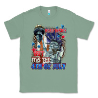 Sage Dead inside but it's the 4th of July Classic Tee - CowGirlArtShop