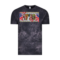 1776 4th Of July License Plate Vintage Tee | Teevron