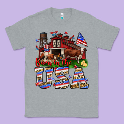 Barn In The Usa Classic Tee Designed By Neo Western