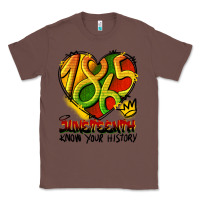 Chestnut juneteenth 1865 graffiti Classic Tee - HRA Design Shop