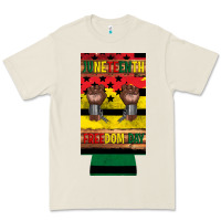 Juneteenth Freedom Day 12 Oz Can Cooler (slim) 2 Premium Tee | Teevron