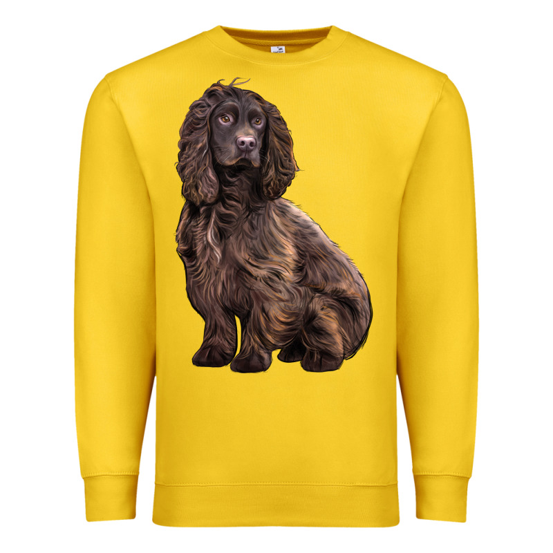 Boykin Spaniel Dog Premium Sweatshirt by LillyAllenDesigns | Teevron