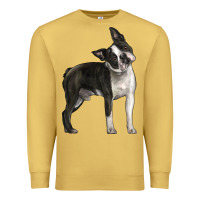 Antique Gold Boston Terrier Premium Sweatshirt - LillyAllenDesigns