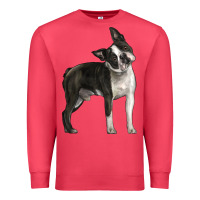 Cardinal Boston Terrier Premium Sweatshirt - LillyAllenDesigns