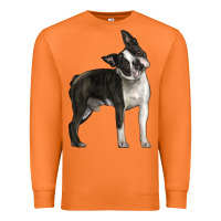 Carrot Boston Terrier Premium Sweatshirt - LillyAllenDesigns