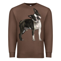 Chestnut Boston Terrier Premium Sweatshirt - LillyAllenDesigns