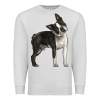 Dove Grey Boston Terrier Premium Sweatshirt - LillyAllenDesigns