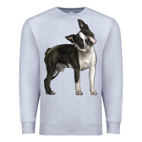 Heather Grey Boston Terrier Premium Sweatshirt - LillyAllenDesigns