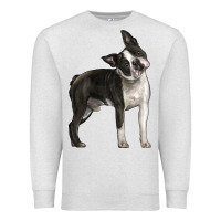 Oatmeal Heather Boston Terrier Premium Sweatshirt - LillyAllenDesigns