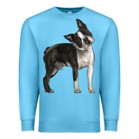 Ocean Blue Boston Terrier Premium Sweatshirt - LillyAllenDesigns
