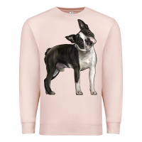 Pale Pink Boston Terrier Premium Sweatshirt - LillyAllenDesigns