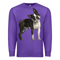 Purple Boston Terrier Premium Sweatshirt - LillyAllenDesigns