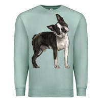 Seafoam Boston Terrier Premium Sweatshirt - LillyAllenDesigns
