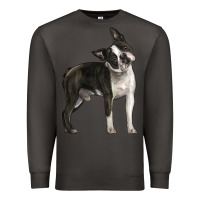 Smoke Boston Terrier Premium Sweatshirt - LillyAllenDesigns