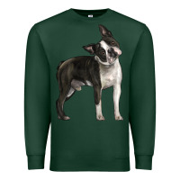Sports Green Boston Terrier Premium Sweatshirt - LillyAllenDesigns