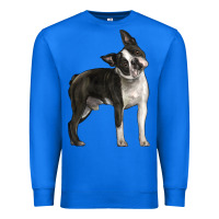 True Royal Boston Terrier Premium Sweatshirt - LillyAllenDesigns