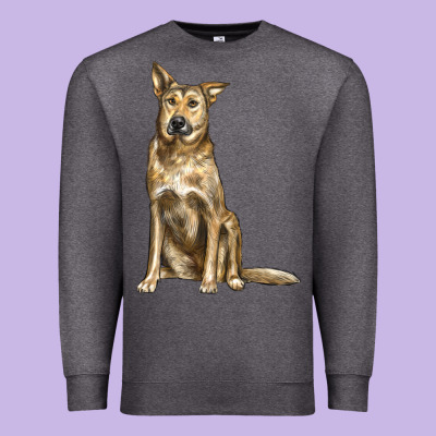 Chinook Dog Premium Sweatshirt Designed By Lillyallendesigns