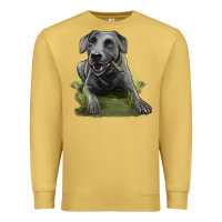 Antique Gold Texas Blue Lacy Dog Premium Sweatshirt - LillyAllenDesigns