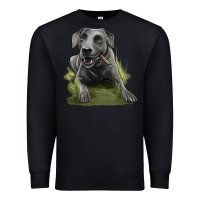 Black Texas Blue Lacy Dog Premium Sweatshirt - LillyAllenDesigns