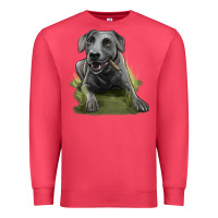 Cardinal Texas Blue Lacy Dog Premium Sweatshirt - LillyAllenDesigns
