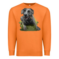 Carrot Texas Blue Lacy Dog Premium Sweatshirt - LillyAllenDesigns