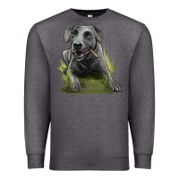 Charcoal Heather Texas Blue Lacy Dog Premium Sweatshirt - LillyAllenDesigns