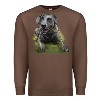 Chestnut Texas Blue Lacy Dog Premium Sweatshirt - LillyAllenDesigns