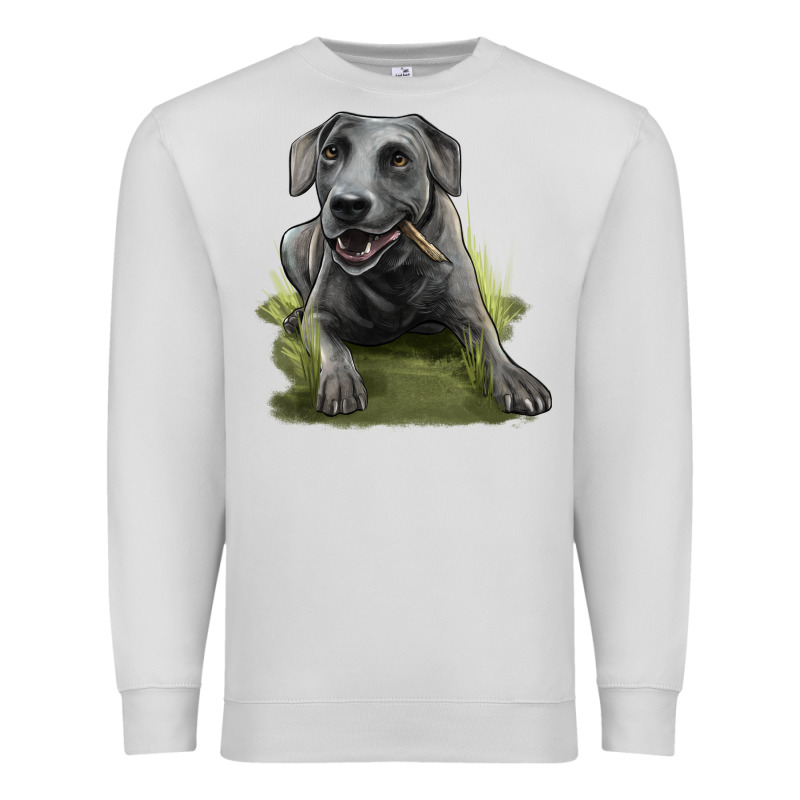 Texas Blue Lacy Dog Premium Sweatshirt by LillyAllenDesigns | Teevron