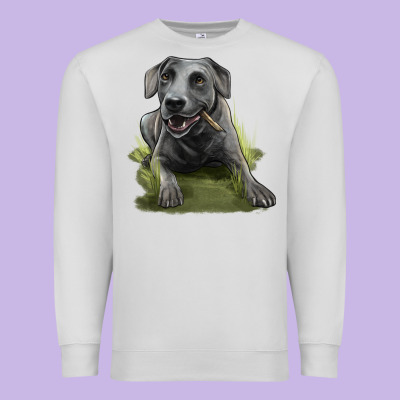 Texas Blue Lacy Dog Premium Sweatshirt Designed By Lillyallendesigns