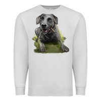 Dove Grey Texas Blue Lacy Dog Premium Sweatshirt - LillyAllenDesigns