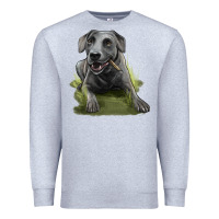 Heather Grey Texas Blue Lacy Dog Premium Sweatshirt - LillyAllenDesigns