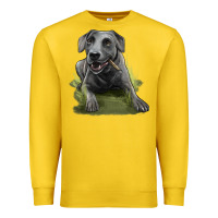Lemon Texas Blue Lacy Dog Premium Sweatshirt - LillyAllenDesigns