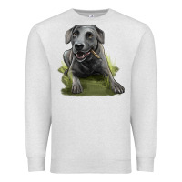 Oatmeal Heather Texas Blue Lacy Dog Premium Sweatshirt - LillyAllenDesigns