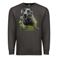 Smoke Texas Blue Lacy Dog Premium Sweatshirt - LillyAllenDesigns
